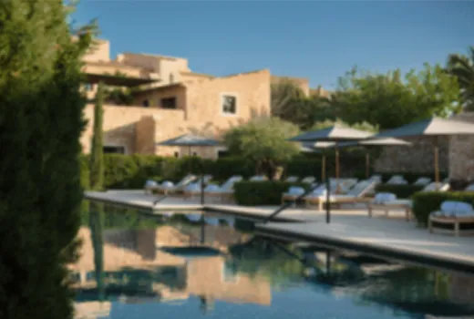 Descripción de la imagen